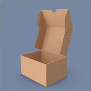 CUTII CARTON